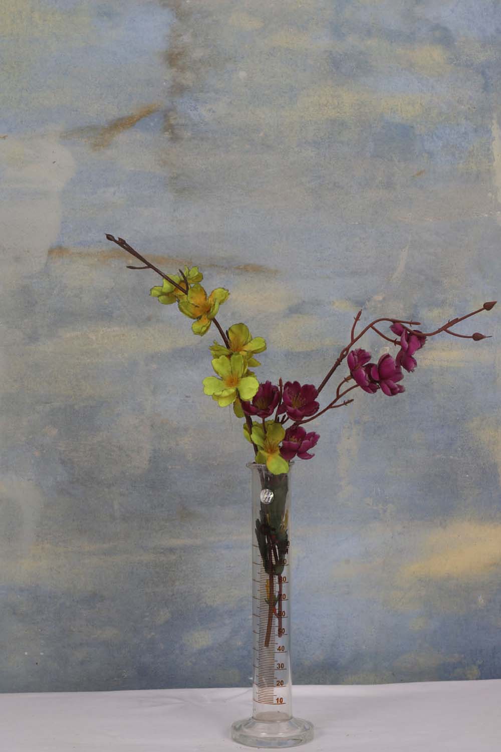 Canvas Painted Studio Backdrop 522