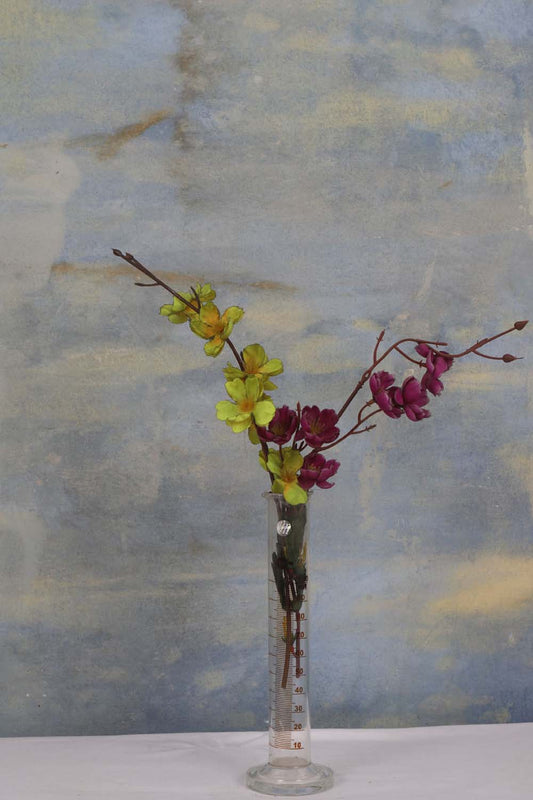 Canvas Painted Studio Backdrop 522