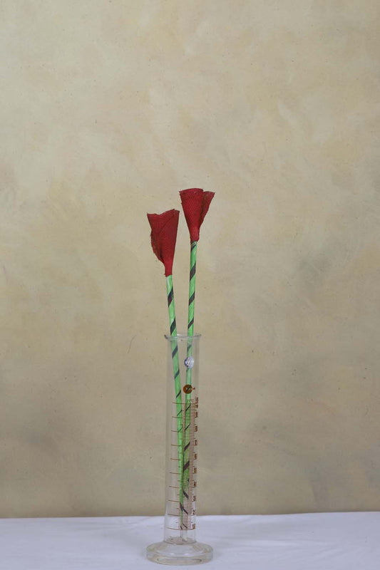 Canvas Painted Studio Backdrop 525