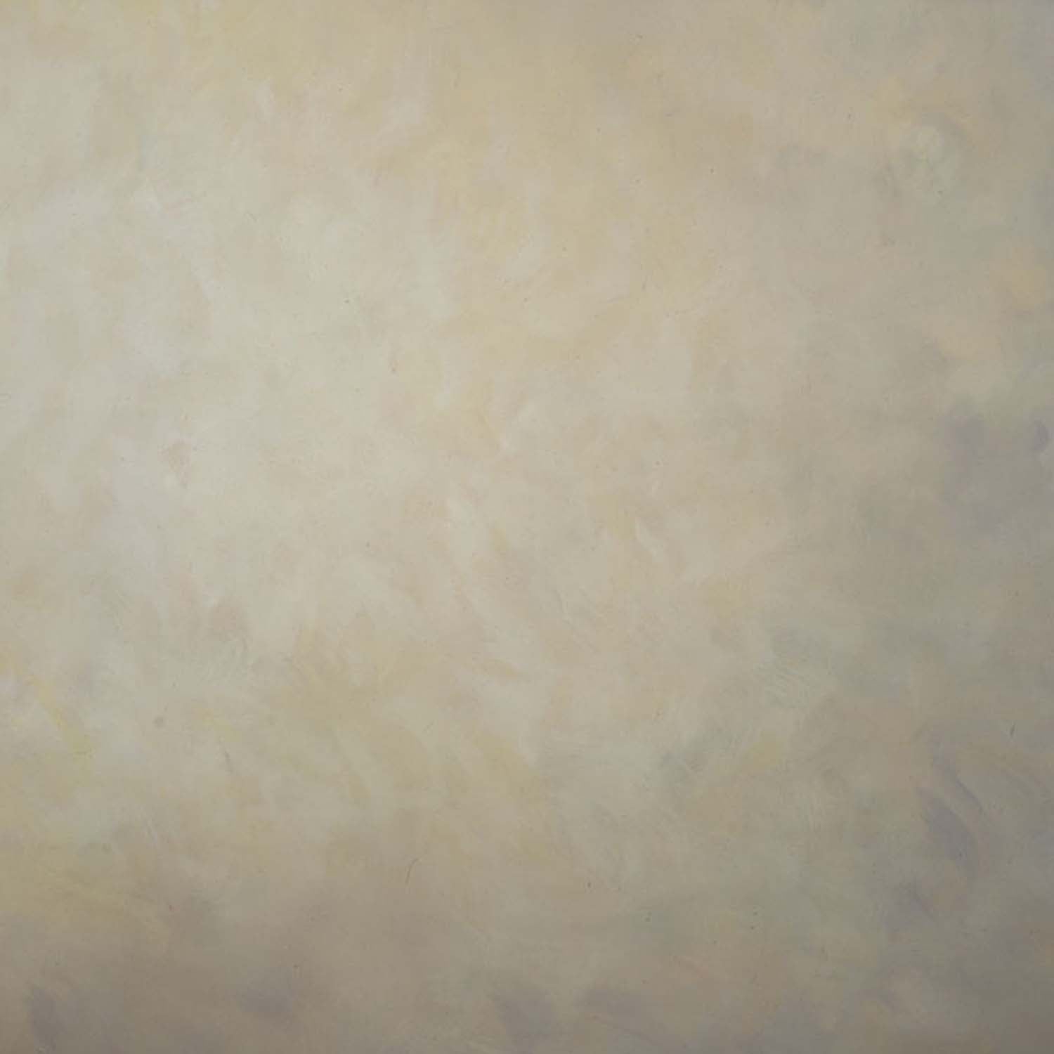 Canvas Painted Backdrop 525