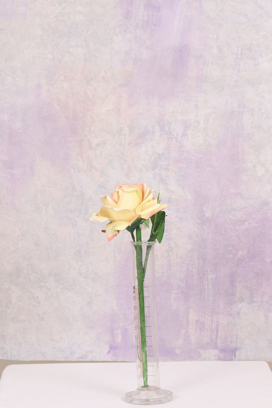 Canvas Painted Studio Backdrop 532