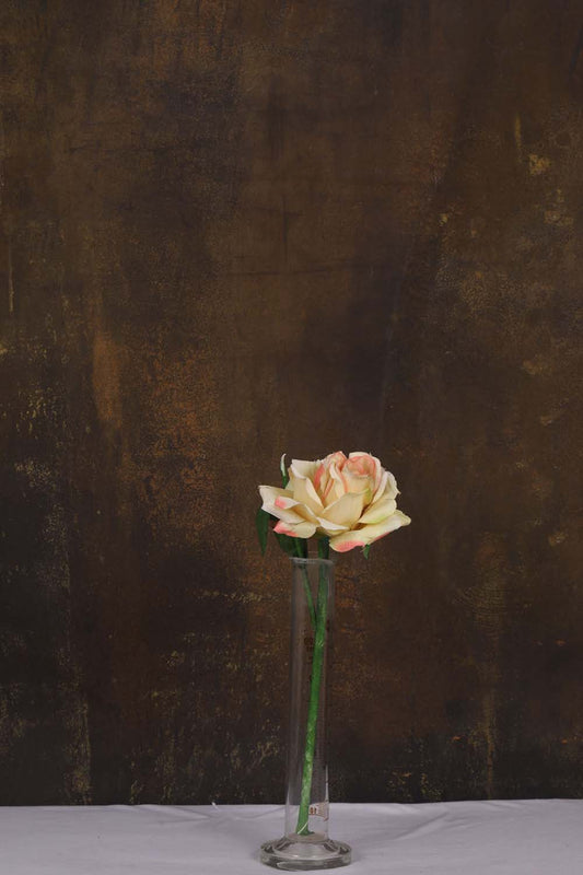 Canvas Painted Studio Backdrop 533