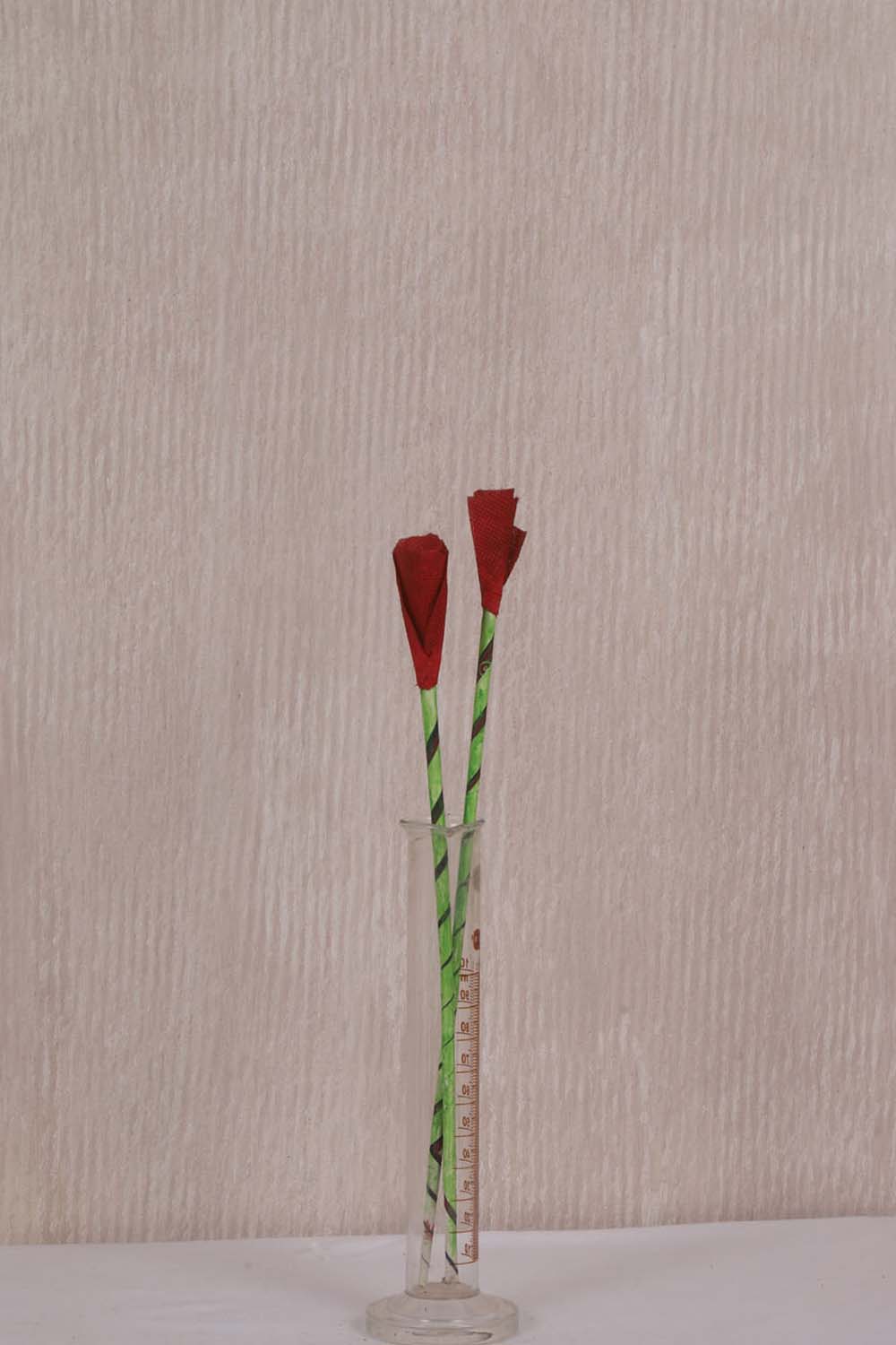 Canvas Painted Studio Backdrop 535