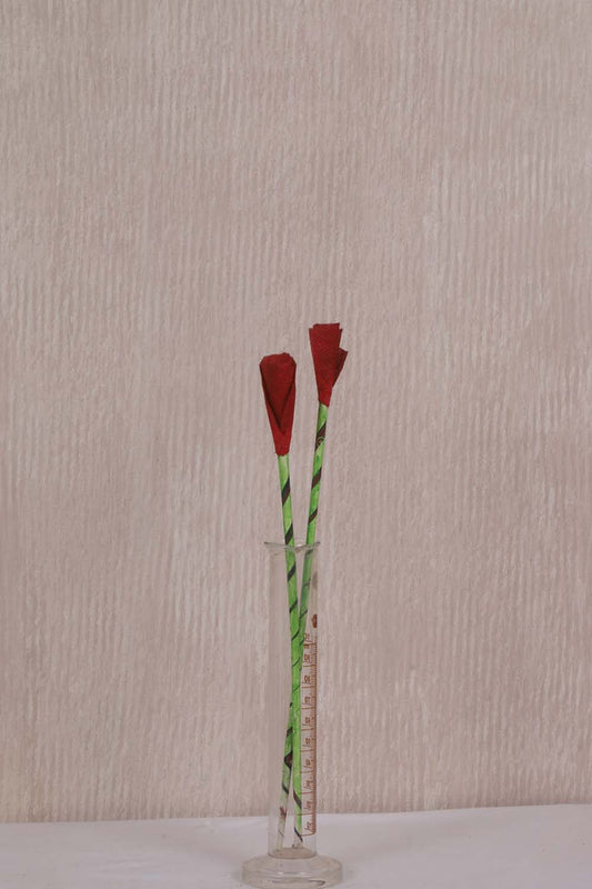 Canvas Painted Studio Backdrop 535