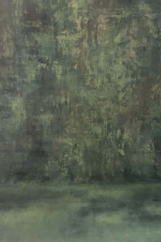 painted studio photography backdrop india