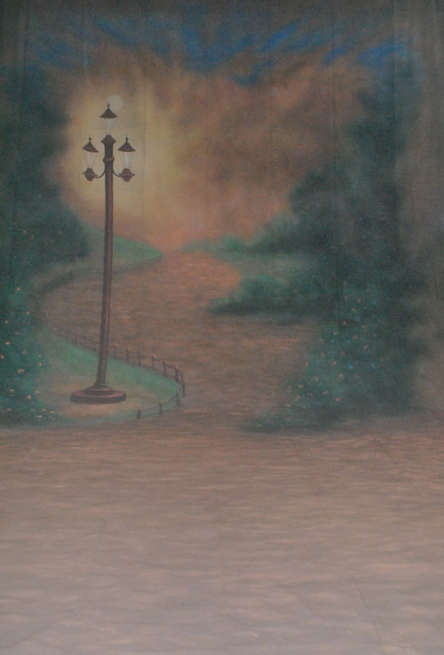 Hand Painted Scenic Central Park Backdrop 929