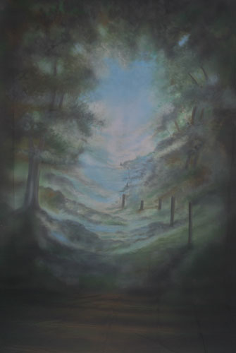 Hand Painted Scenic Forest Backdrop 924