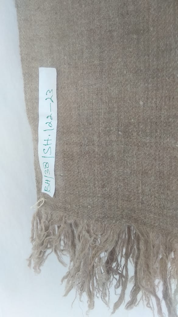 Pashmina Shawl BH-38-SH-22-23