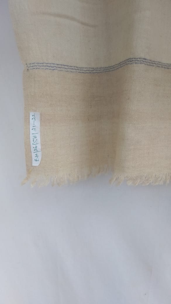Pashmina Shawl BH-26-SH-21-22