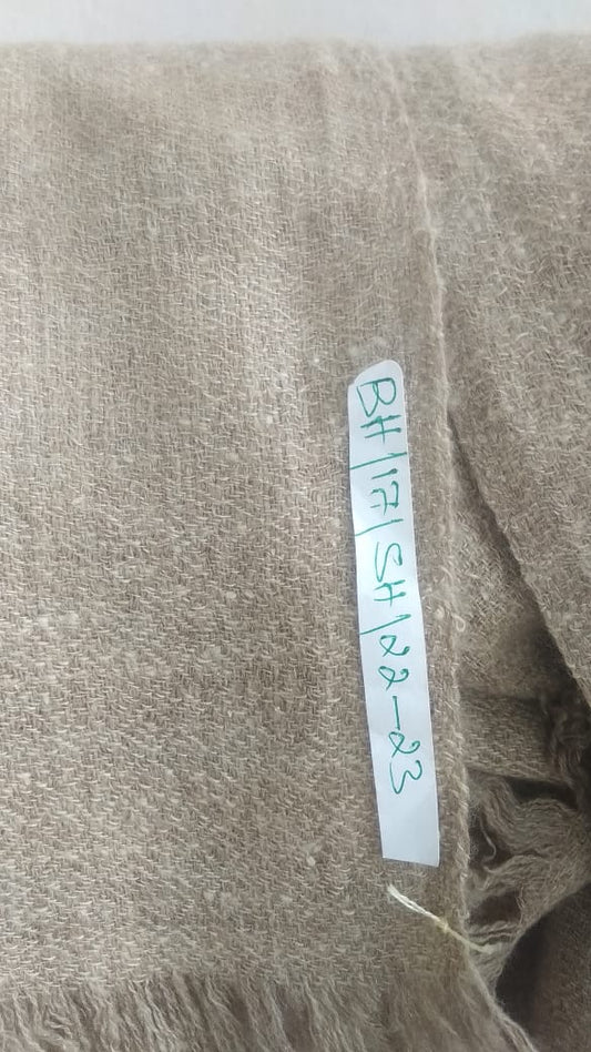 Pashmina Shawl BH-17-SH-22-23