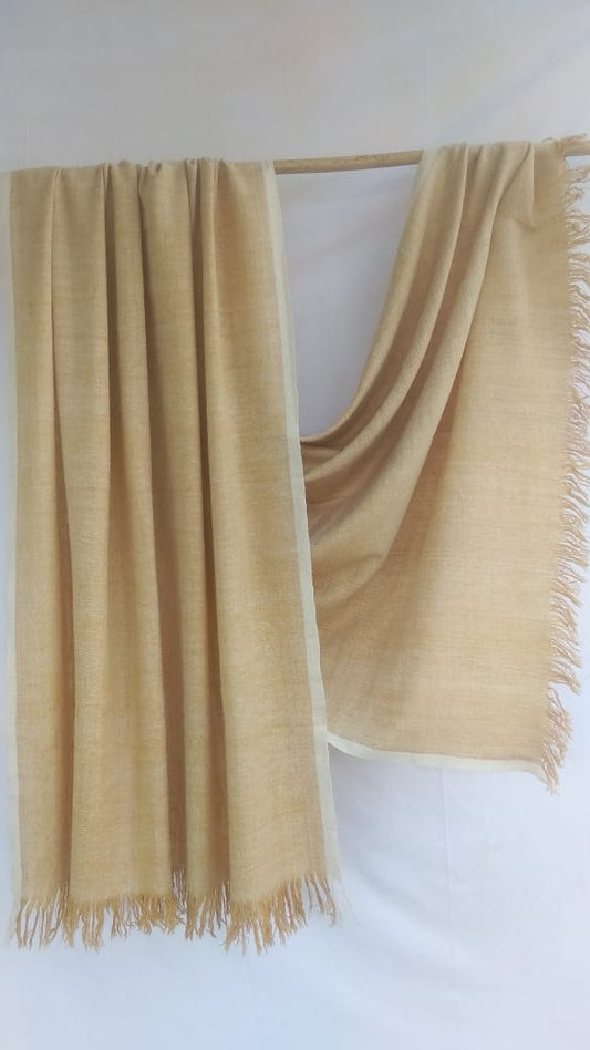 Pashmina Shawl BH-66-SH-22-23