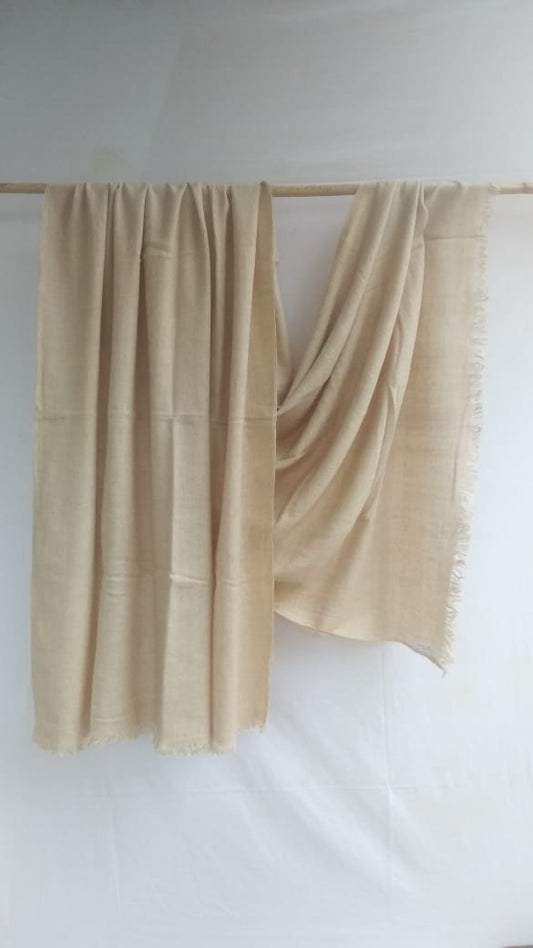 Pashmina Shawl BH-30-SH-21-22