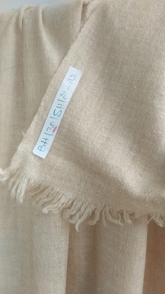 Pashmina Shawl BH-30-SH-21-22