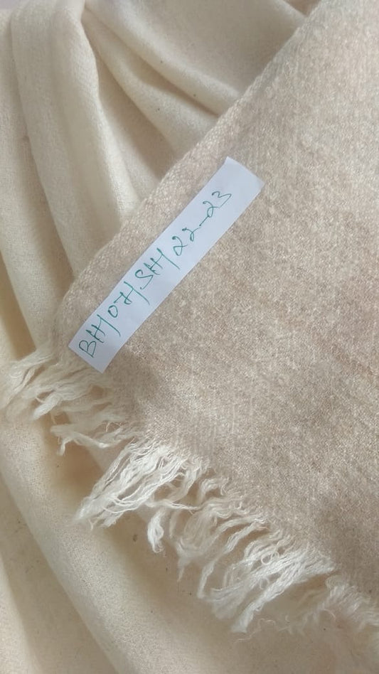 Pashmina Shawl BH-07-SH-22-23