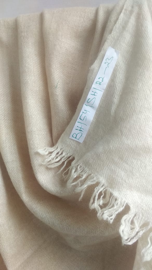 Pashmina Shawl BH-54-SH-22-23