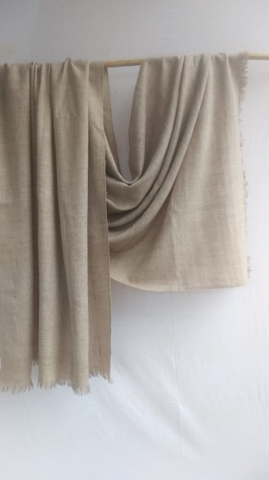 Pashmina Shawl BH-39-SH-22-23