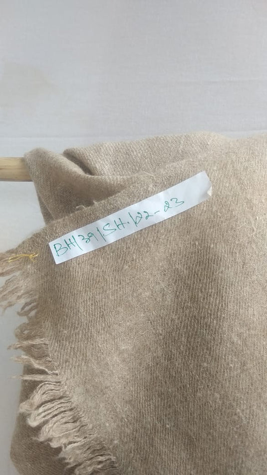 Pashmina Shawl BH-39-SH-22-23