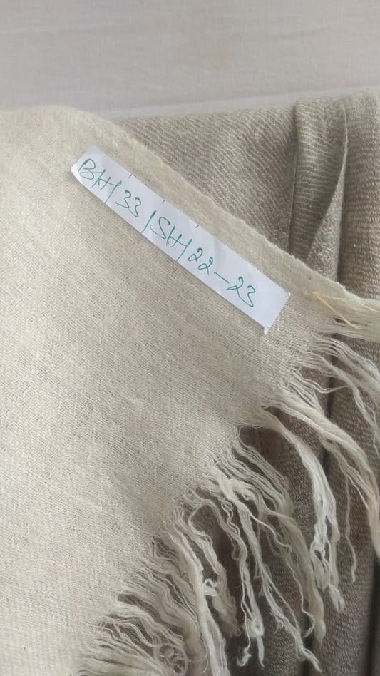 Pashmina Shawl BH-33-SH-22-23