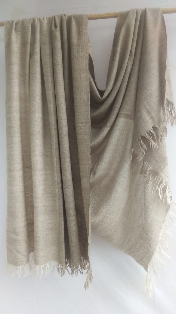 Pashmina Shawl BH-12-SH-22-23