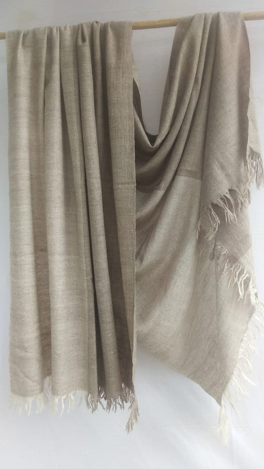 Pashmina Shawl BH-12-SH-22-23