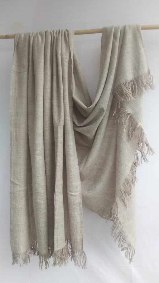 Pashmina Shawl BH-18-SH-22-23