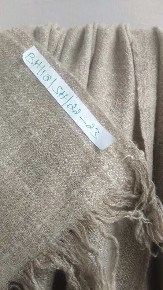 Pashmina Shawl BH-18-SH-22-23