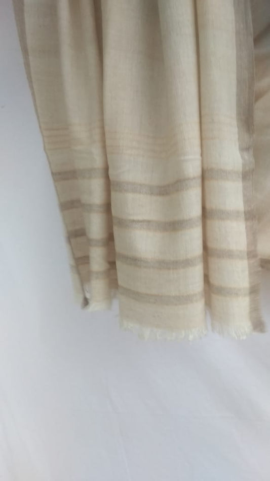 Pashmina Shawl BH-38-SH-21-22