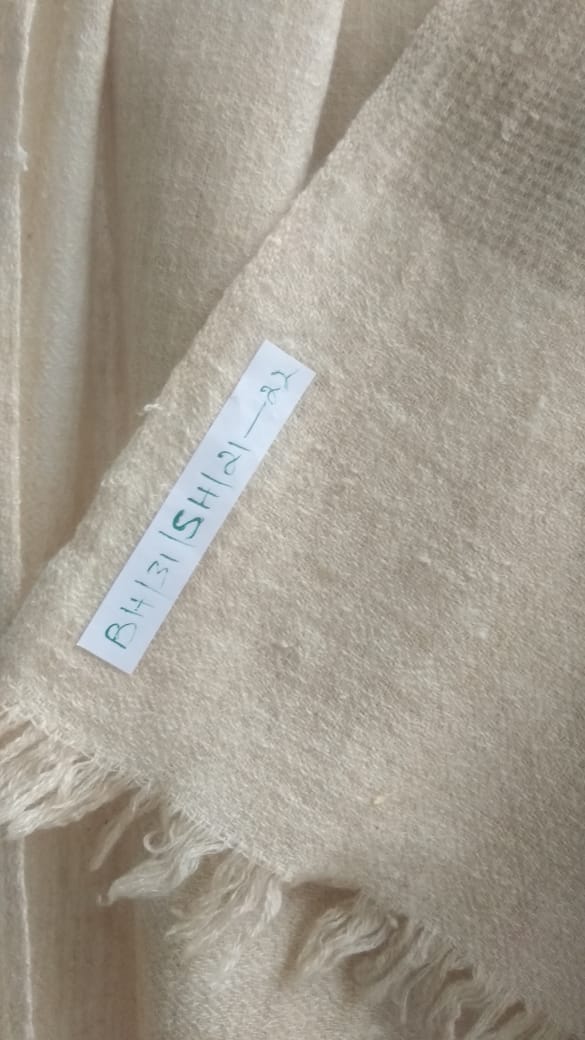 Pashmina Shawl BH-31-SH-21-22