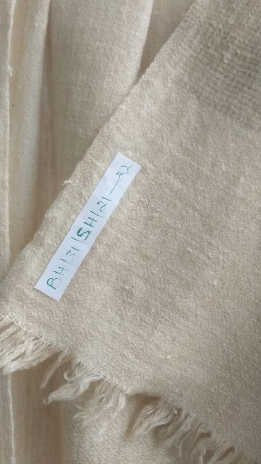 Pashmina Shawl BH-31-SH-21-22