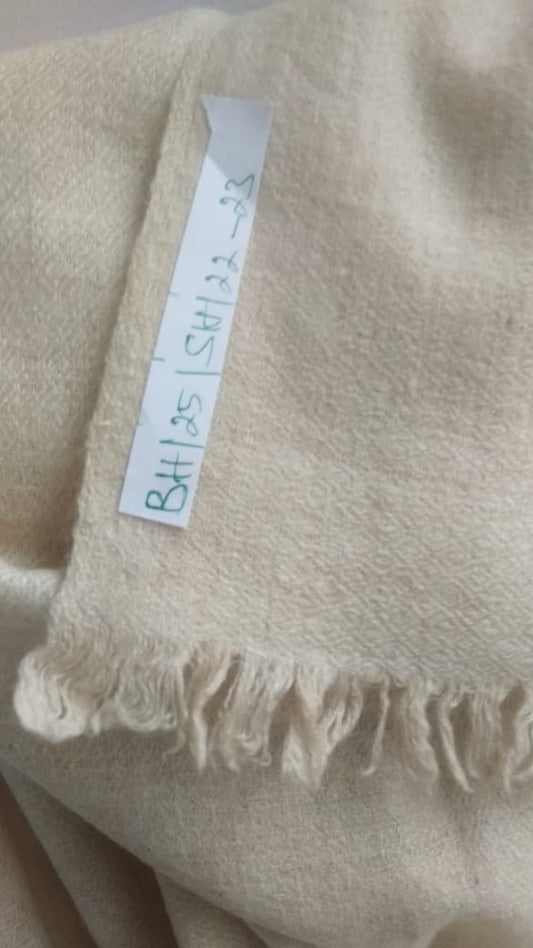 Pashmina Shawl BH-25-SH-22-23