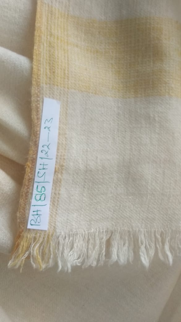 Pashmina Shawl BH-85-SH-22-23