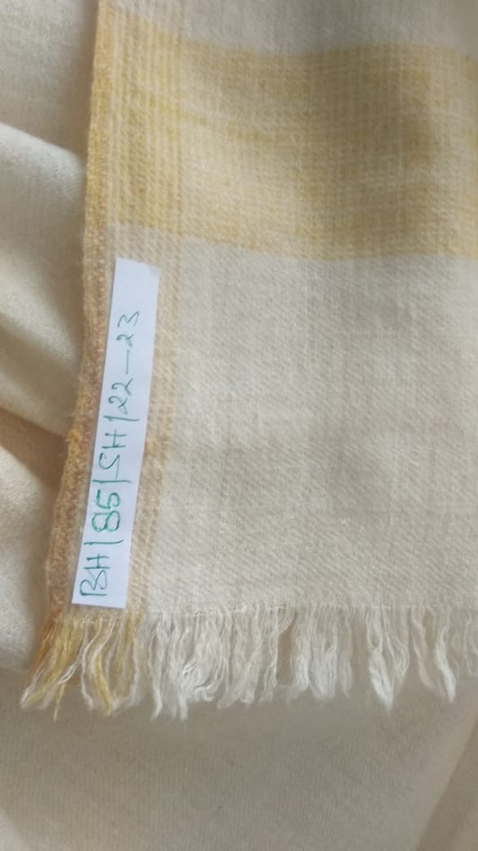 Pashmina Shawl BH-85-SH-22-23