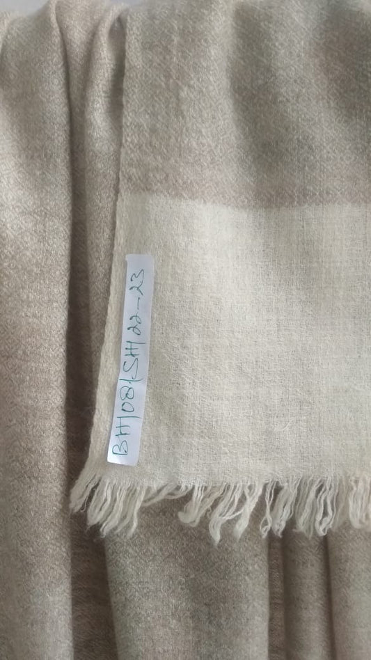 Pashmina Shawl BH-08-SH-22-23