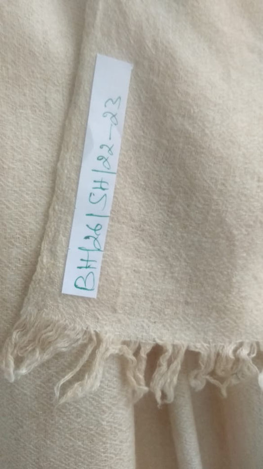Pashmina Shawl BH-26-SH-22-23