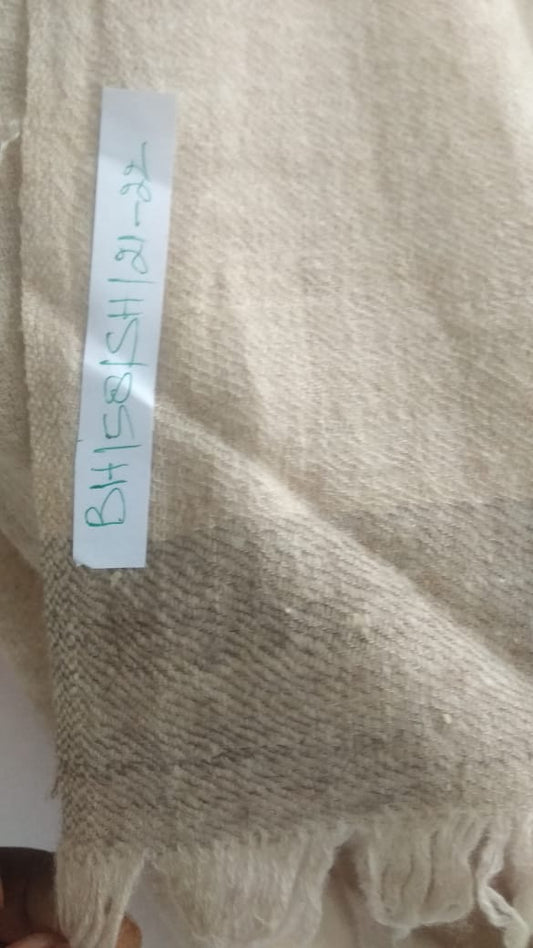 Pashmina Shawl BH-58-SH-21-22