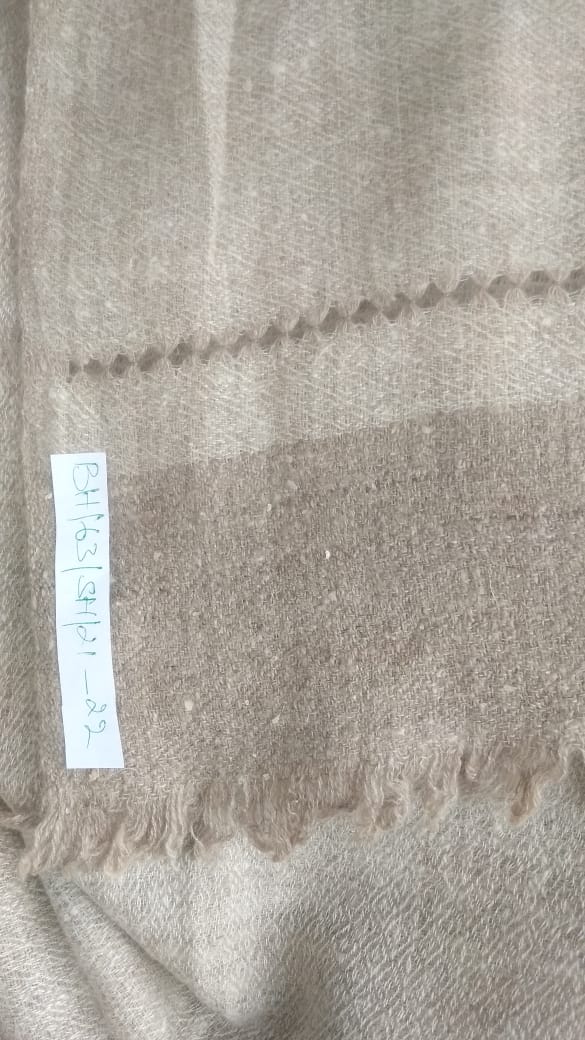 Pashmina Shawl BH-63-SH-21-22