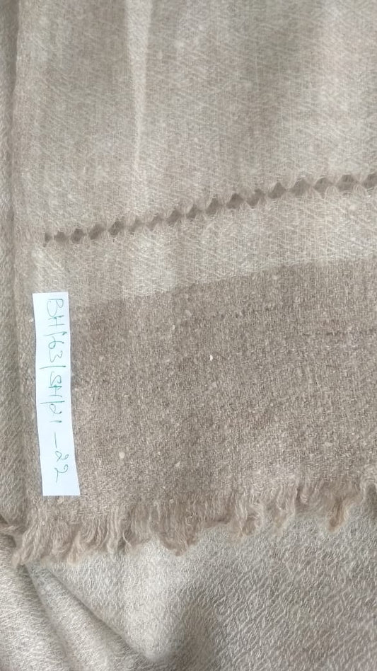 Pashmina Shawl BH-63-SH-21-22