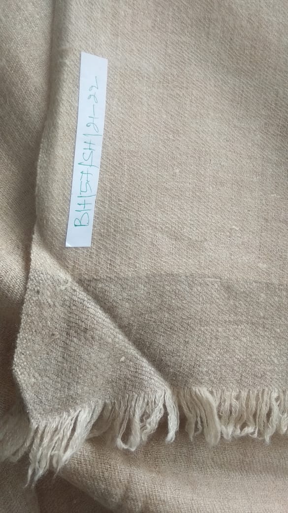 Pashmina Shawl BH-57-SH-21-22