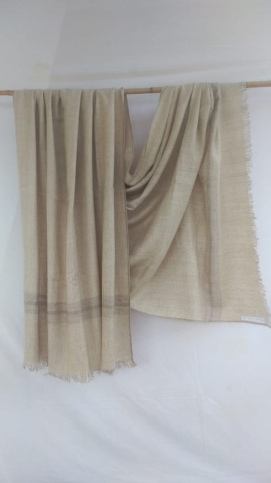 Pashmina Shawl BH-71-SH-22-23