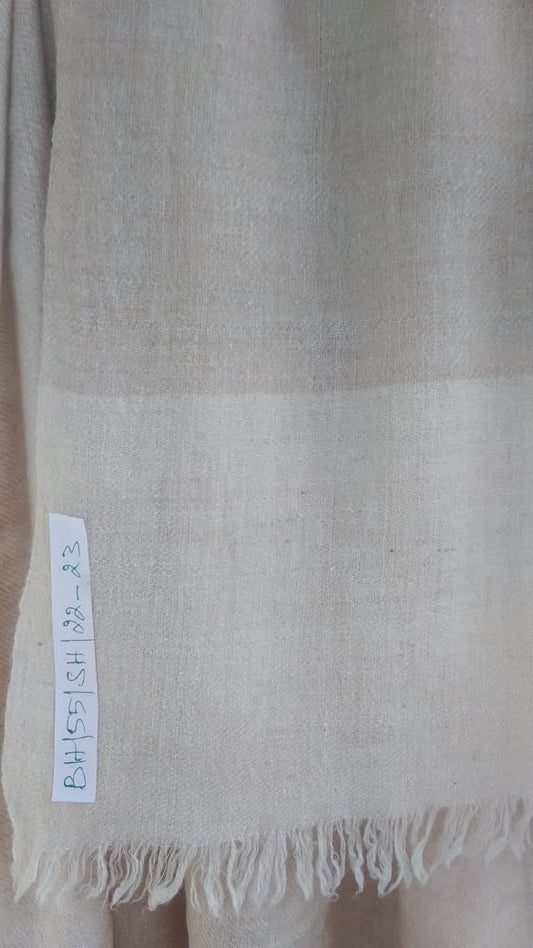 Pashmina Shawl BH-55-SH-22-23