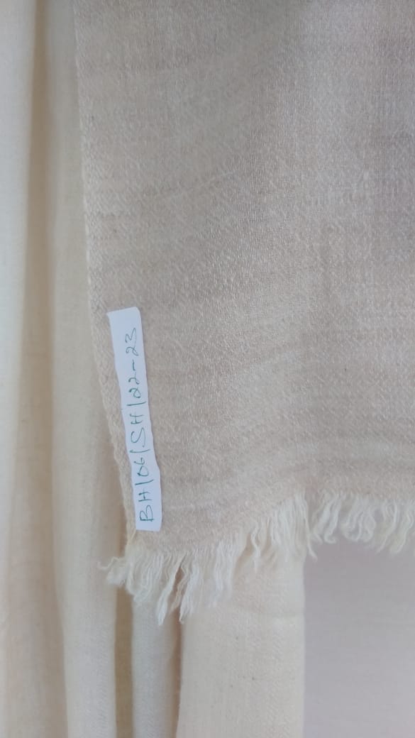 Pashmina Shawl BH-06-SH-22-23