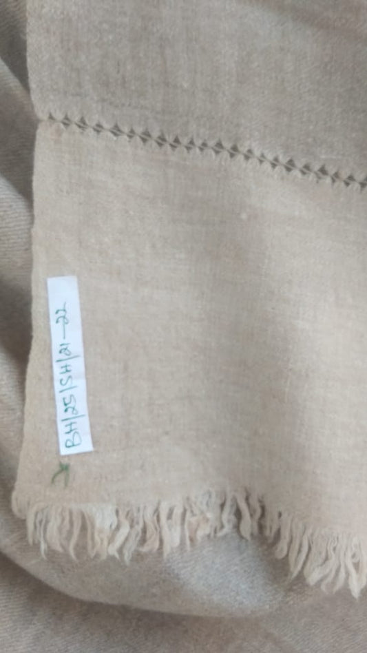 Pashmina Shawl BH-25-SH-21-22