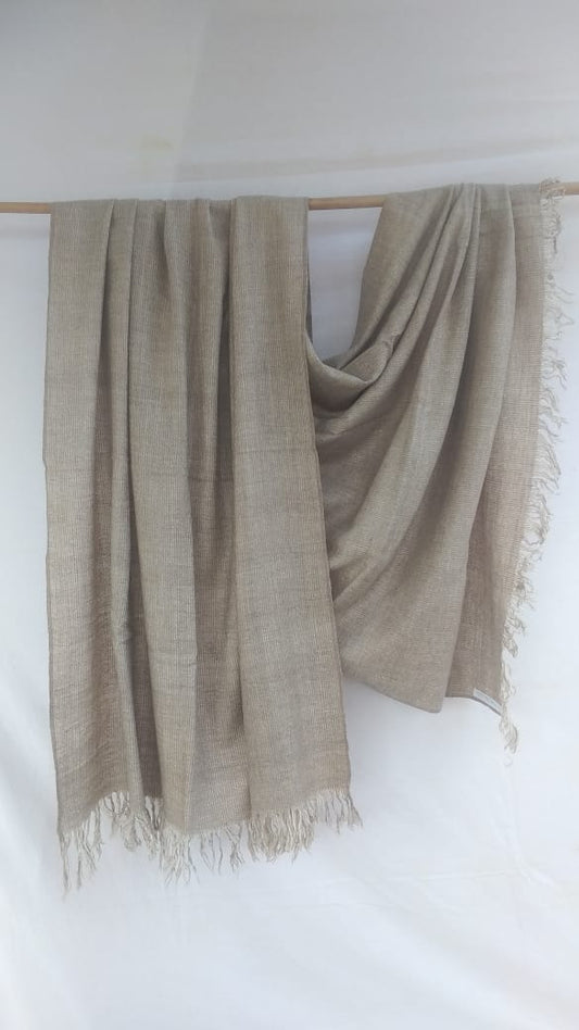 Pashmina Shawl BH-74-SH-22-23