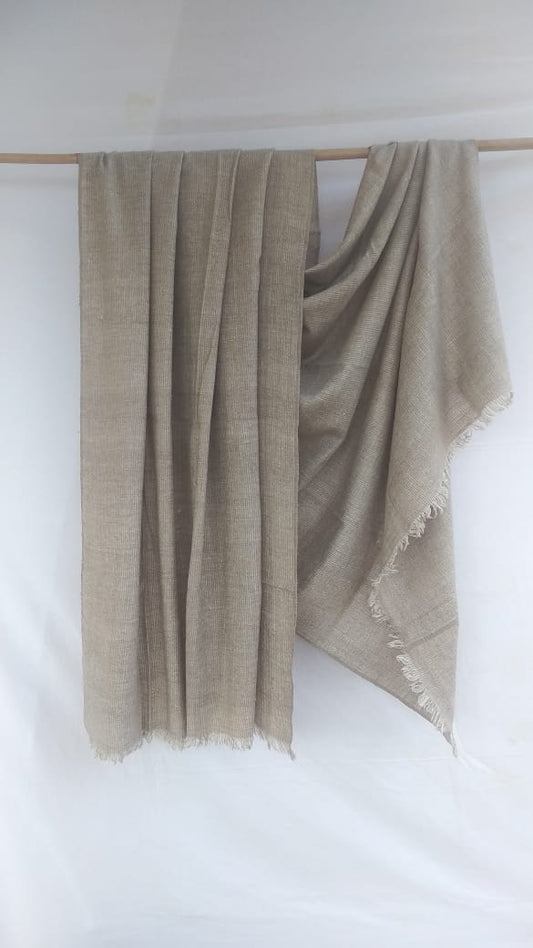 Pashmina Shawl BH-73-SH-22-23