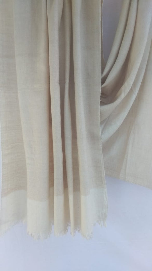 Pashmina Shawl BH-02-SH-22-23