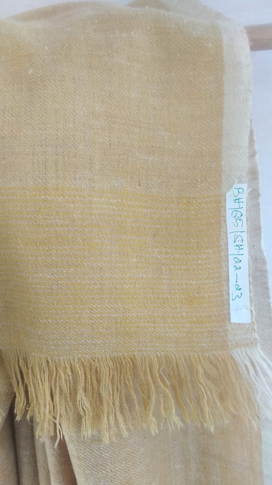 Pashmina Shawl BH-65-SH-22-23