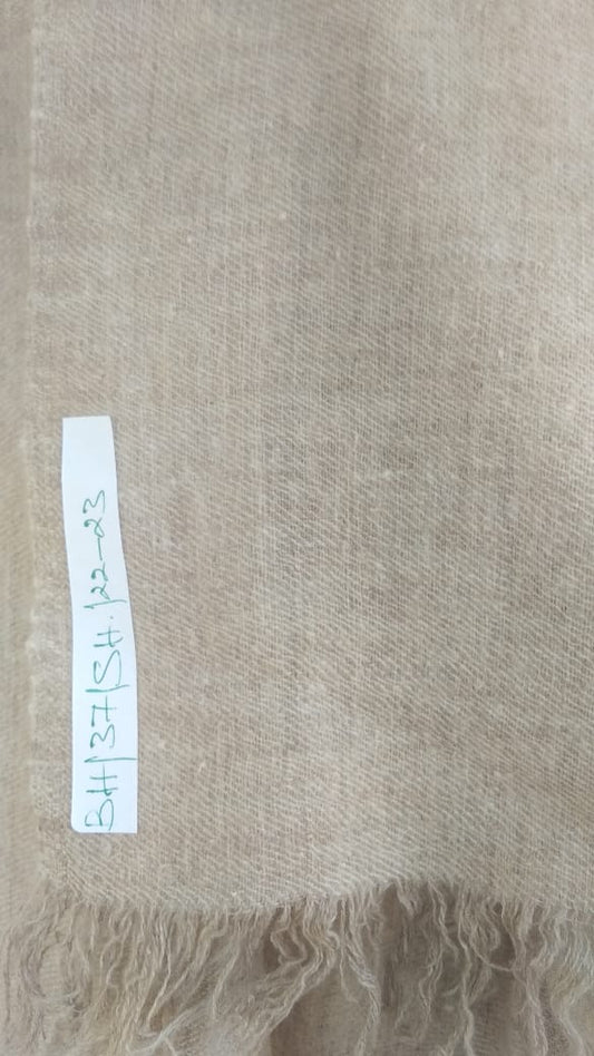 Pashmina Shawl BH-37-SH-22-23