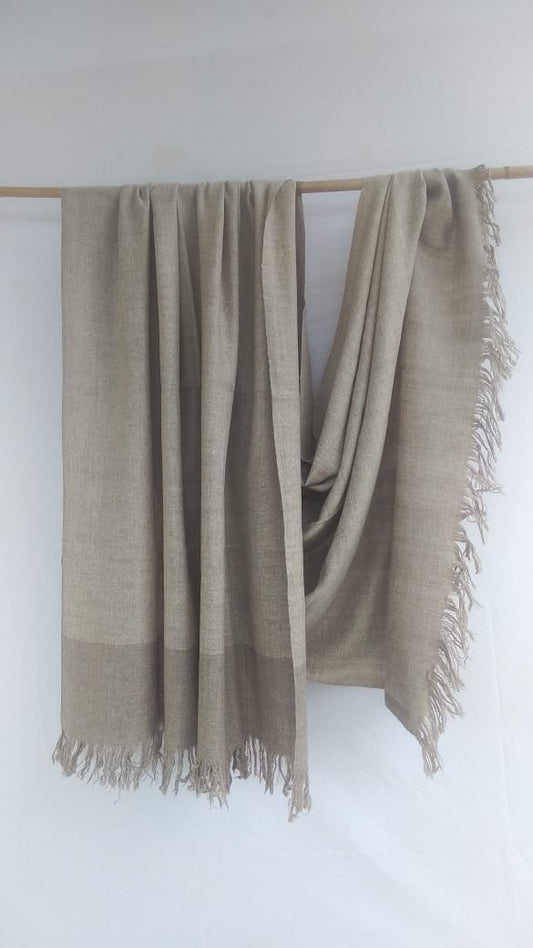 Pashmina Shawl BH-58-SH-22-23