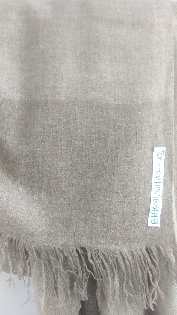 Pashmina Shawl BH-58-SH-22-23