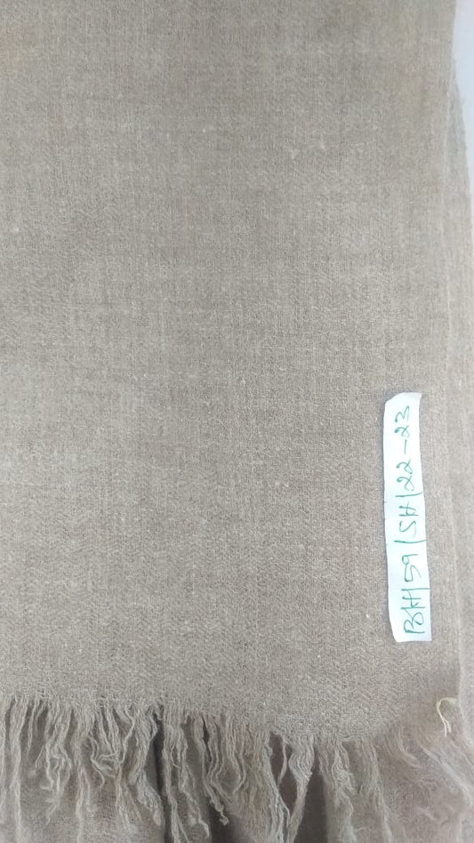 Pashmina Shawl BH-59-SH-22-23